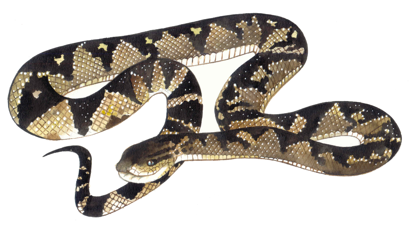 6985e36cf538ce109a0300a7 La Prensa Regional