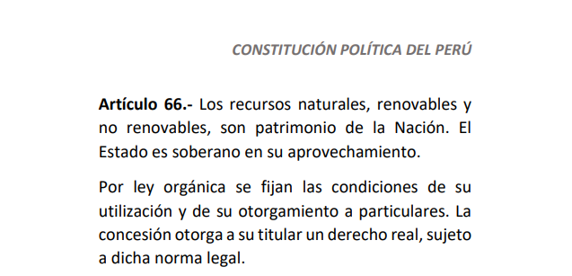 Artículo 66